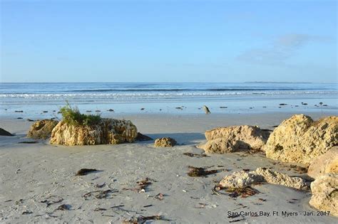 cfnm beach|Bunche Beach